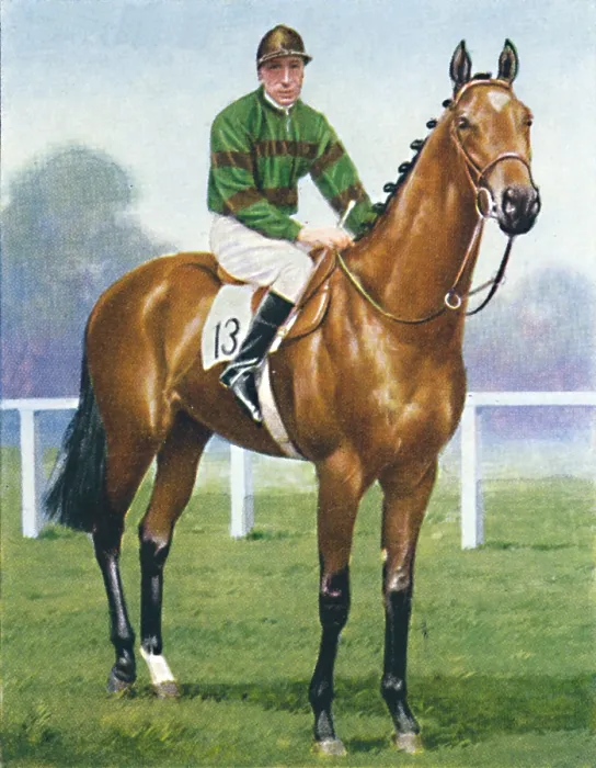 Framed Print : Mirza Ii. Mirza II, Jockey: H. Wragg, 1939 Framed Print : Mirza Ii. Mirza II, Jockey: H. Wragg, 1939