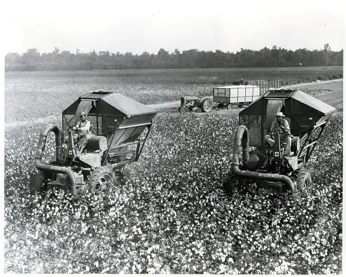 Framed Print : Mississippi Cotton Plantation