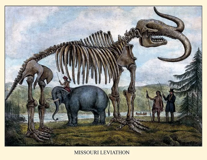 Framed Print : Missouri Leviathan Framed Print : Missouri Leviathan