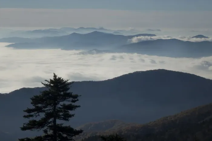 Framed Print : Mist in valley of Great Smoky Mountains National Park from Clingmans Dome, Tennessee, USA Framed Print : Mist in valley of Great Smoky Mountains National Park from Clingmans Dome, Tennessee, USA