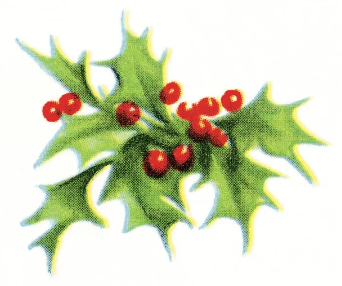 Framed Print : Mistletoe. http: / / csaimages.com / images / istockprofile / csa_vector_dsp.jpg Framed Print : Mistletoe. http: / / csaimages.com / images / istockprofile / csa_vector_dsp.jpg