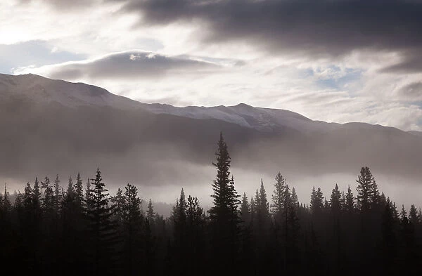 Misty conditions over the landscape and forest, Jasper National Park, Alberta, Canada