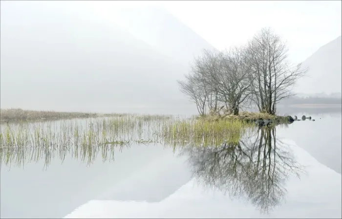 Framed Print : Misty lake