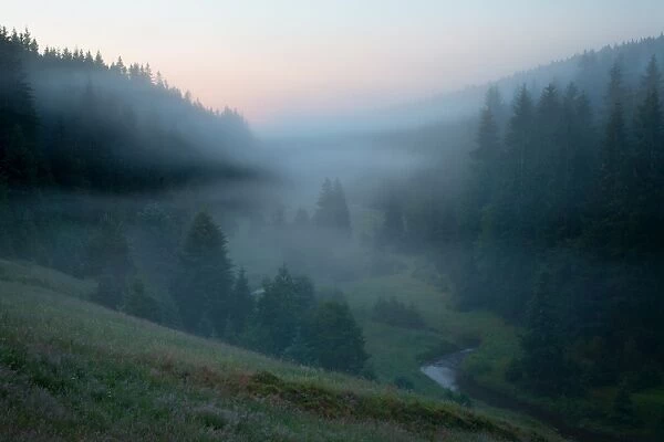 Misty morning river valley landscape