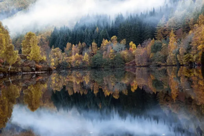 Framed Print : Misty reflections Framed Print : Misty reflections