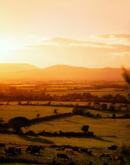 Framed Print : Mitchelstown, County Cork, Ireland, Galtee Mountains In The Distance Framed Print : Mitchelstown, County Cork, Ireland, Galtee Mountains In The Distance