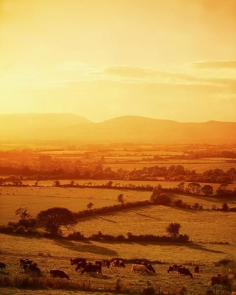 Mitchelstown, County Cork, Ireland, Galtee Mountains In The Distance