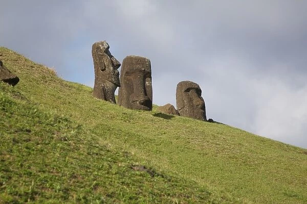 Moai at Moai Quarry