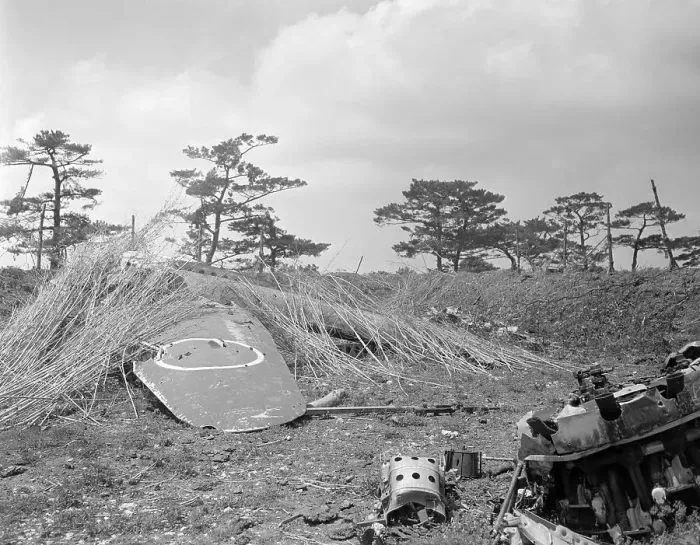 Framed Print : Mock Japanese Military Airplane Partially Hidden Under Brush Framed Print : Mock Japanese Military Airplane Partially Hidden Under Brush