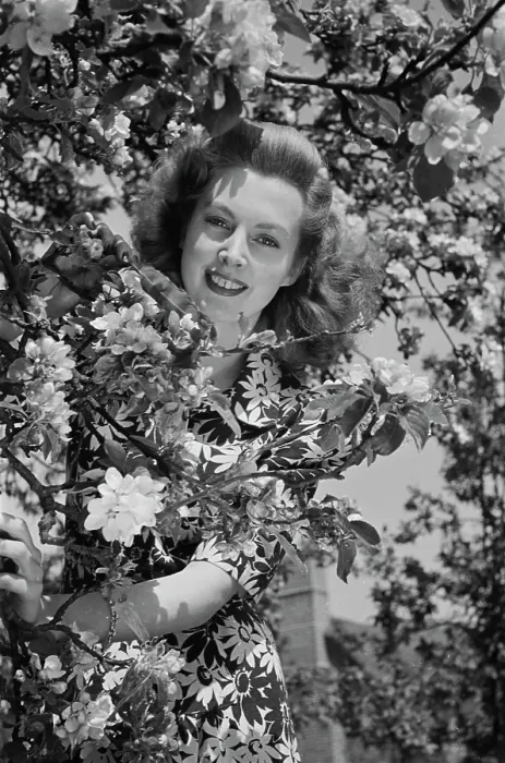Framed Print : A Model With Blossoms Framed Print : A Model With Blossoms