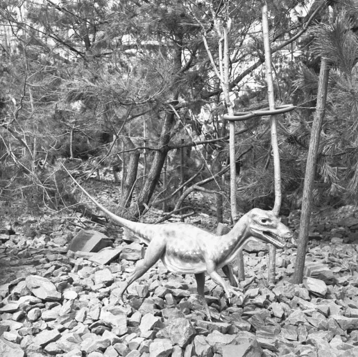 Framed Print : Model of dinosaur, (B&W) Framed Print : Model of dinosaur, (B&W)