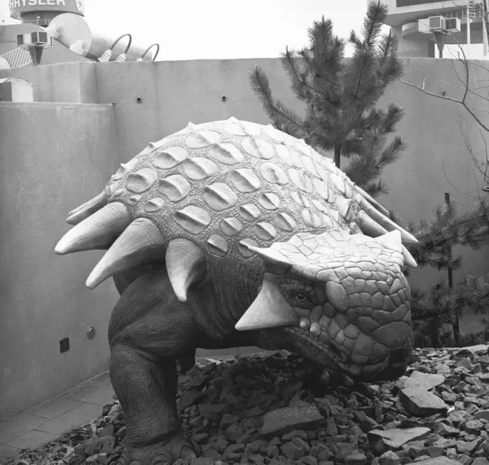 Framed Print : Model of dinosaur, (B&W) Framed Print : Model of dinosaur, (B&W)