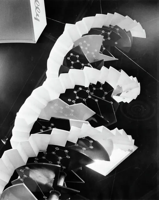 Framed Print : Model Of Dna Molecule Framed Print : Model Of Dna Molecule