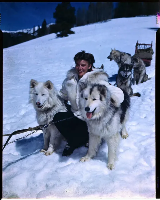 Framed Print : Model with Dog Sled Team in Snow Framed Print : Model with Dog Sled Team in Snow