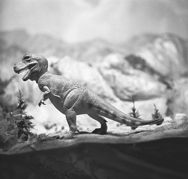 Model of tyrannosaurus rex, (B&W)