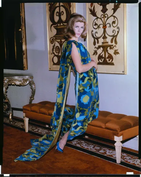 Fine Art Storehouse Print: Model in Elegant Evening Dress. Art Prints,  Posters & Puzzles from Fine Art Storehouse