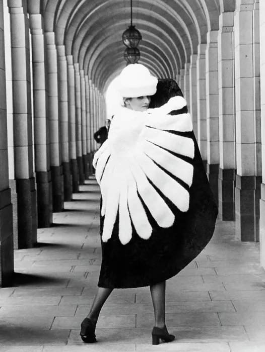 Framed Print : Model Wearing Fur Cape Framed Print : Model Wearing Fur Cape