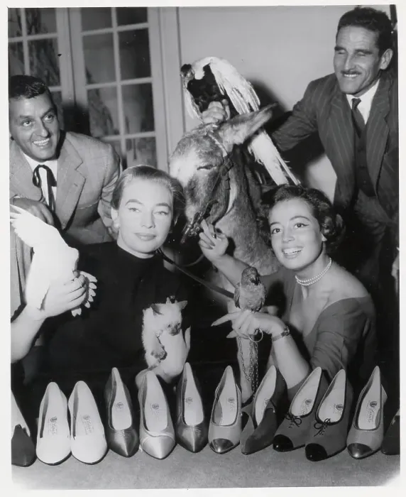 Framed Print : Models and Animals Showing Shoe Collection