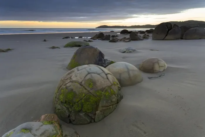Framed Print : Moeraki Boulders on the beach at dawn, Moeraki Beach, Hampden, Otago Region, New Zealand
