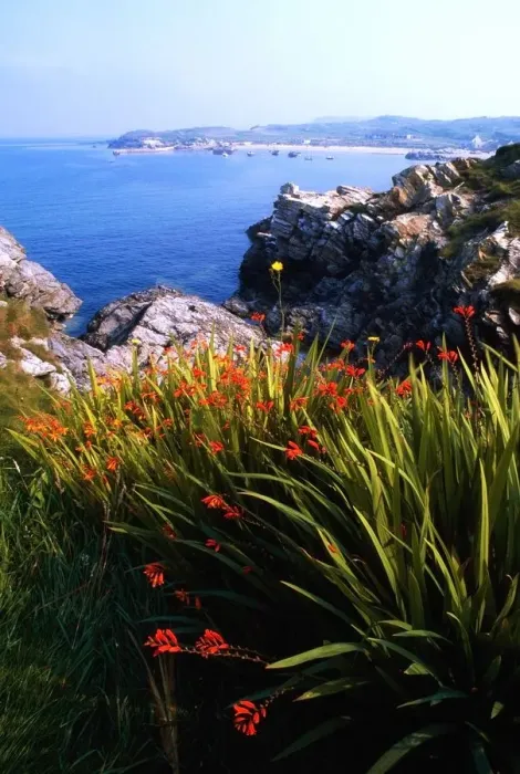 Framed Print : Monbretia wildflowers and Port Na Blagh, Co Donegal, Ireland Framed Print : Monbretia wildflowers and Port Na Blagh, Co Donegal, Ireland