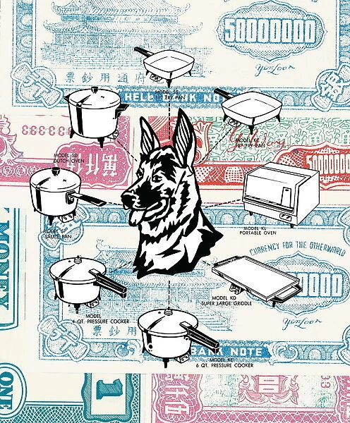 Money and Dog and Kitchen Appliances