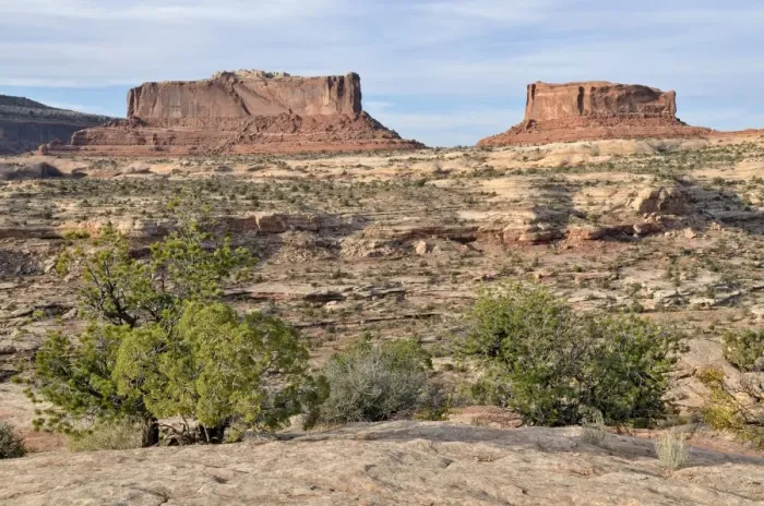 Framed Print : Monitor Butte, left, and Merrimac Butte, right, Canyonlands, Moab, Utah, USA Framed Print : Monitor Butte, left, and Merrimac Butte, right, Canyonlands, Moab, Utah, USA