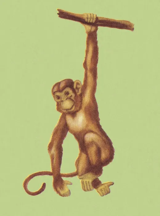 Framed Print : Monkey. http: / / csaimages.com / images / istockprofile / csa_vector_dsp.jpg Framed Print : Monkey. http: / / csaimages.com / images / istockprofile / csa_vector_dsp.jpg