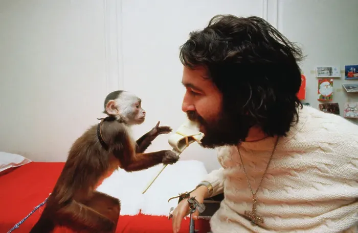 Framed Print : Monkey Feeding Paralyzed Man Framed Print : Monkey Feeding Paralyzed Man