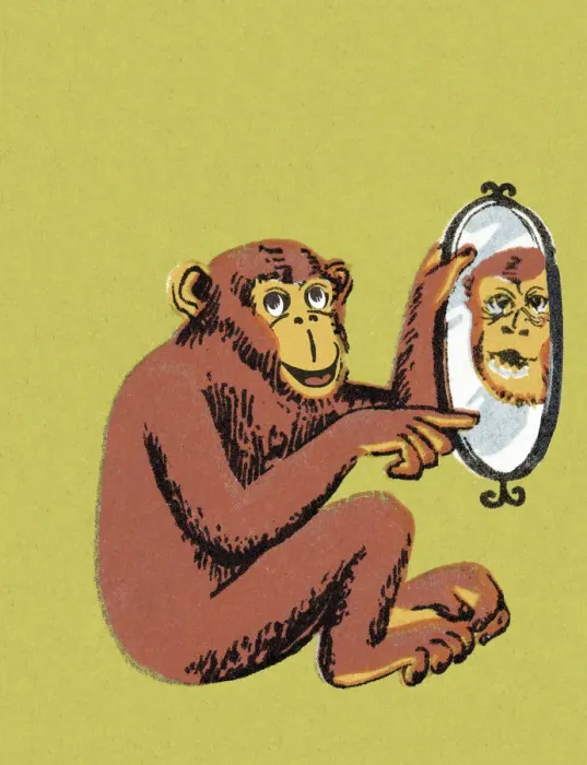 Framed Print : Monkey Pointing at Mirror