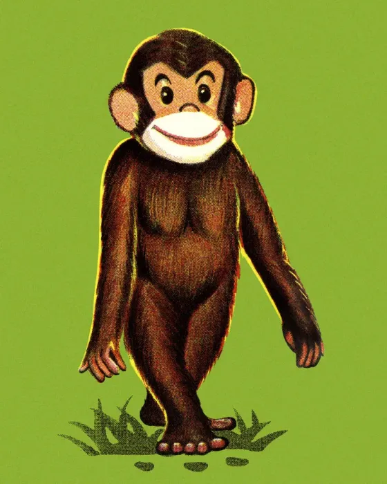 Framed Print : Monkey Standing Framed Print : Monkey Standing