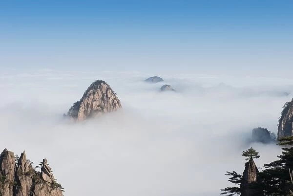 Monkey watch sea cloud, Mt. Huangshan in Anhui, China