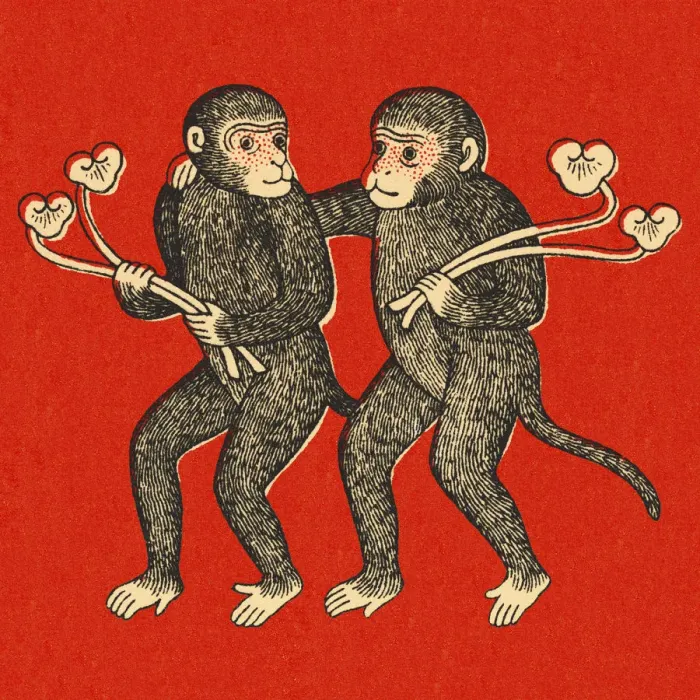 Framed Print : Two Monkeys Framed Print : Two Monkeys