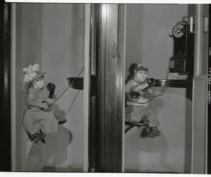 Framed Print : Monkeys Talking on the Telephone Framed Print : Monkeys Talking on the Telephone