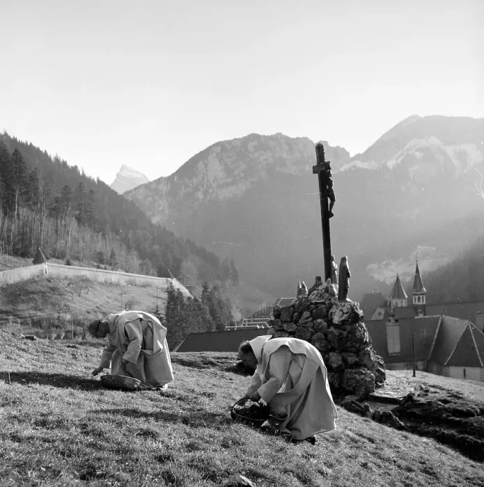 Framed Print : Monks Harvest Framed Print : Monks Harvest