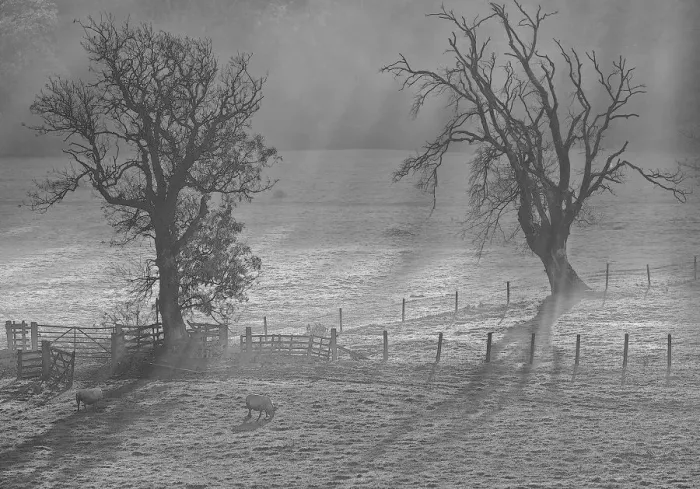 Framed Print : Monochrome Misty Landscape Framed Print : Monochrome Misty Landscape