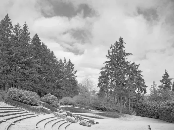 Framed Print : Monochrome Winter Framed Print : Monochrome Winter