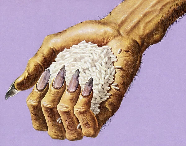 Monster Hand Holding Rice