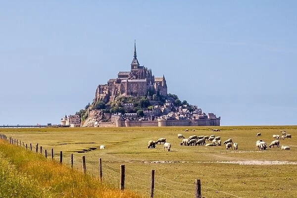 Mont Saint-Michel and meadow during the day