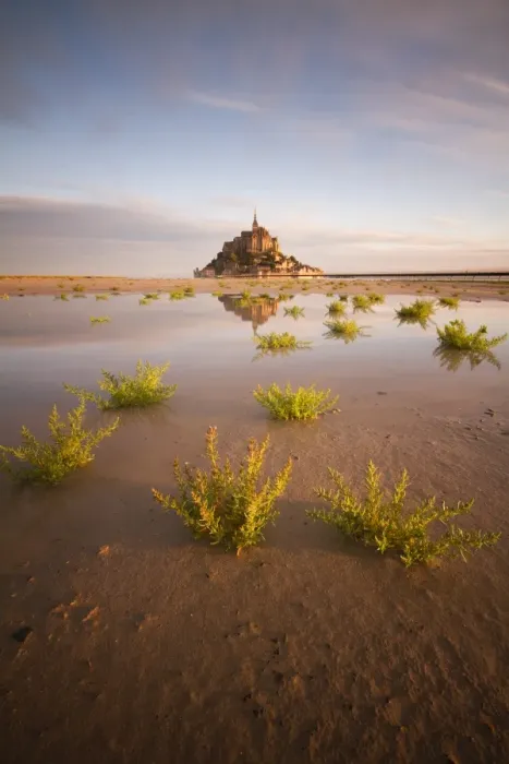 Framed Print : Mont St Michel at Dawn Framed Print : Mont St Michel at Dawn