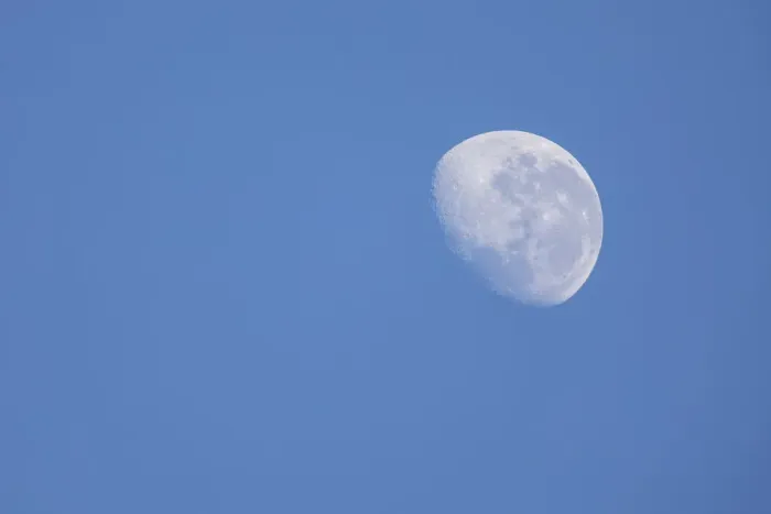 Framed Print : The moon in the blue sky - Kruger National Park South Africa Framed Print : The moon in the blue sky - Kruger National Park South Africa