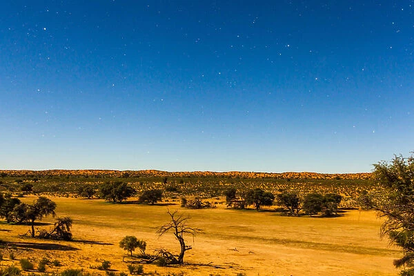 A full moon lights up the whole of the landscape at night in the Kgalagadi transfrontier park