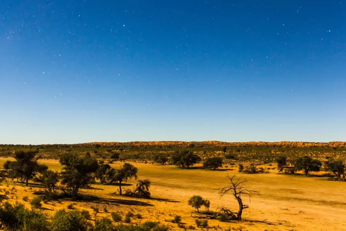 Framed Print : A full moon lights up the whole of the landscape at night in the Kgalagadi transfrontier park