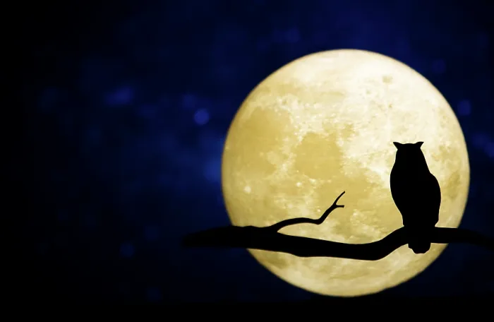 Framed Print : Full moon in the night sky Framed Print : Full moon in the night sky