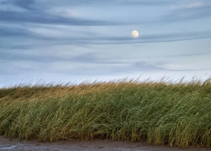 Framed Print : Full moon rising at First Encounter Beach, Cape Cod, Massachusetts, USA Framed Print : Full moon rising at First Encounter Beach, Cape Cod, Massachusetts, USA