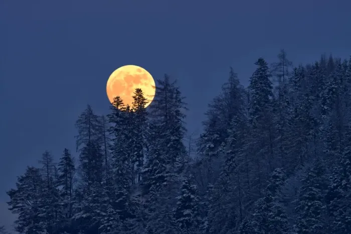 Framed Print : The full moon rising over a winter forest, Tyrol, Austria Framed Print : The full moon rising over a winter forest, Tyrol, Austria