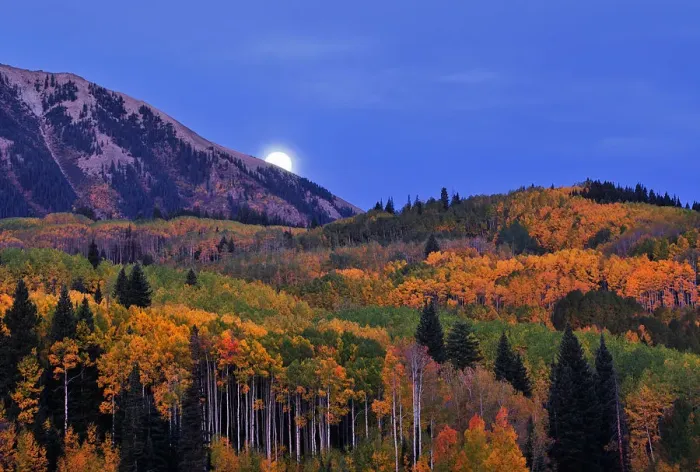 Framed Print : Moonset at Kebler Pass Framed Print : Moonset at Kebler Pass