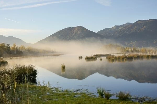Moorland with morning fog, alpine foothills, Grundbeckenmoor marsh, Nicklheim, Bavaria, Germany, Europe