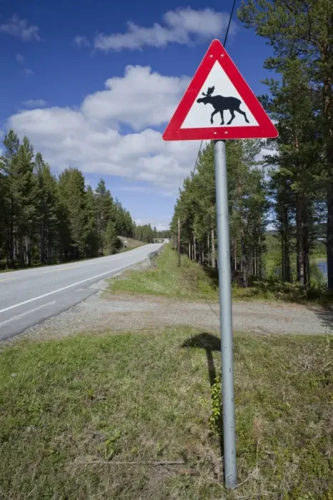Framed Print : Moose warning sign, Norway, Scandinavia, Europe
