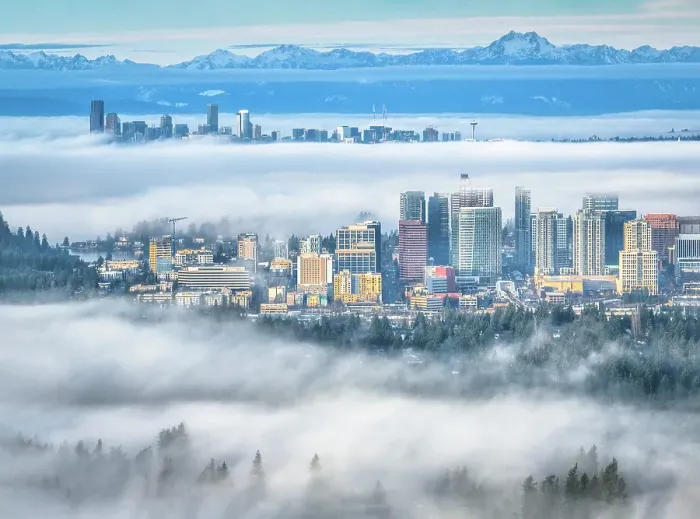 Framed Print : Morning Fog @ Bellevue Washington, USA Framed Print : Morning Fog @ Bellevue Washington, USA