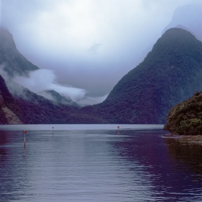 Framed Print : Morning fog and clouds on Milford Sound Framed Print : Morning fog and clouds on Milford Sound